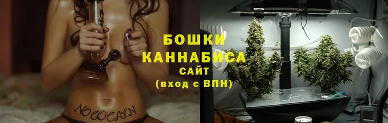 купить закладку  Бикин  Бошки марихуана SATIVA & INDICA 